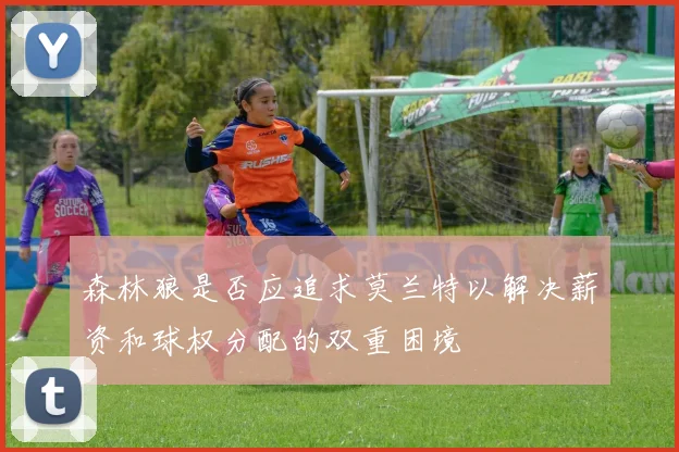 森林狼是否应追求莫兰特以解决薪资和球权分配的双重困境