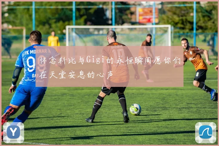 怀念科比与Gigi的永恒瞬间愿你们在天堂安息的心声