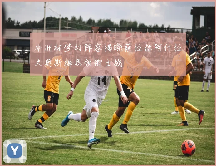 非洲杯梦幻阵容揭晓萨拉赫阿什拉夫奥斯梅恩领衔出战